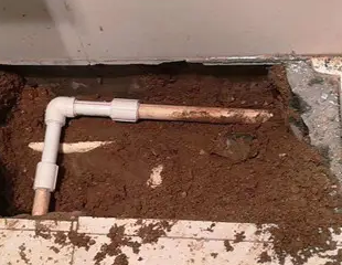 西安测漏水哪家好